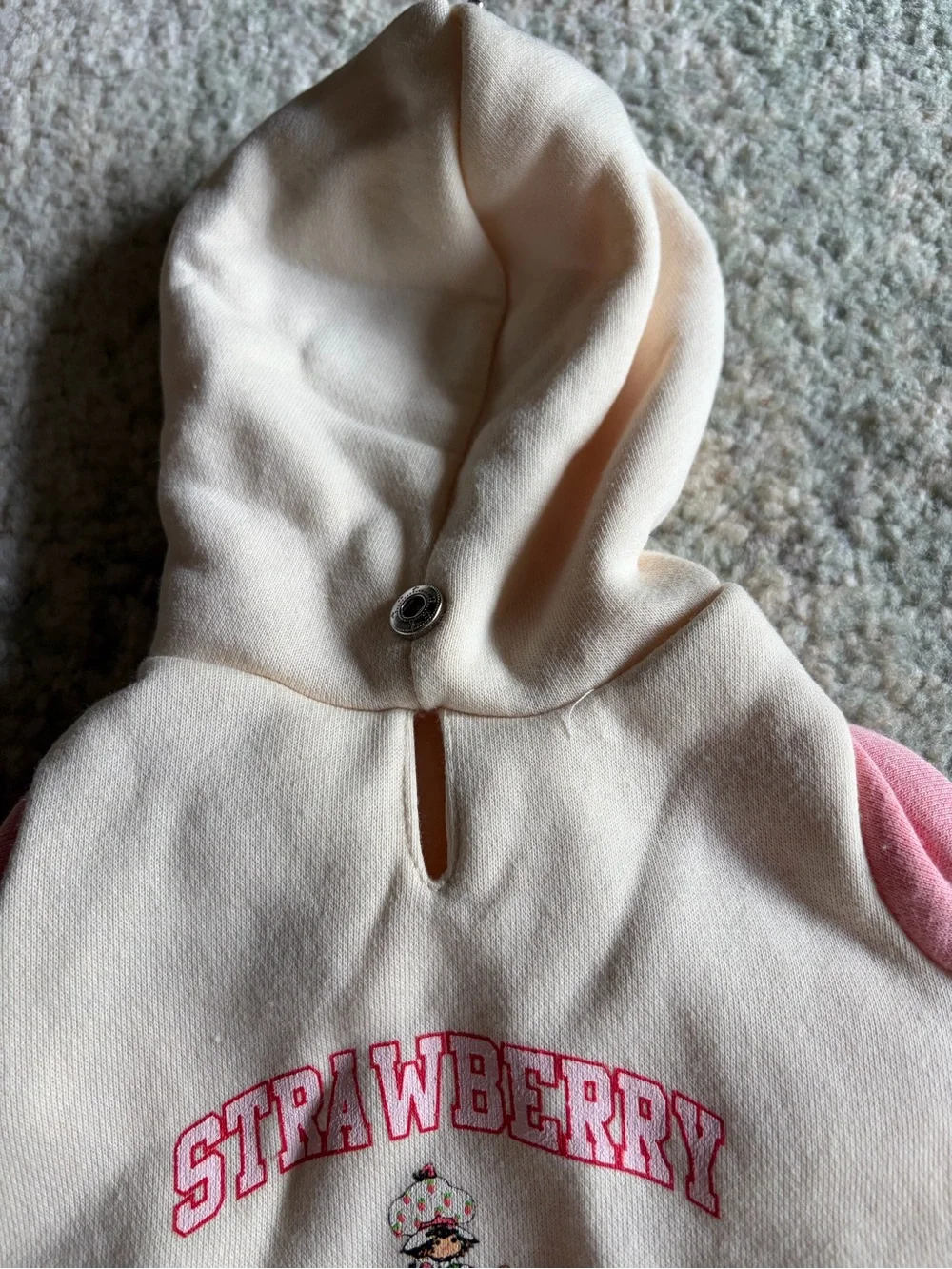 XS Dog or puppy Strawberry Shortcake Pink Hooded Pullover